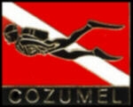 CITY OF COZUMEL MEXICO SCUBA DIVE FLAG PIN MEXICO DIVER PINS